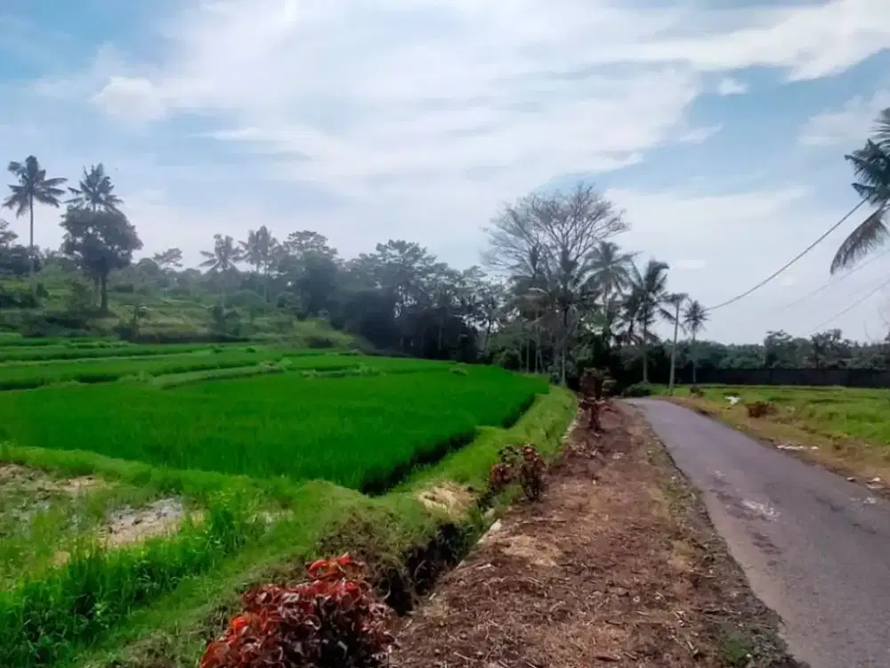 Tanah Sawah – Jelun, Glagah, Banyuwangi