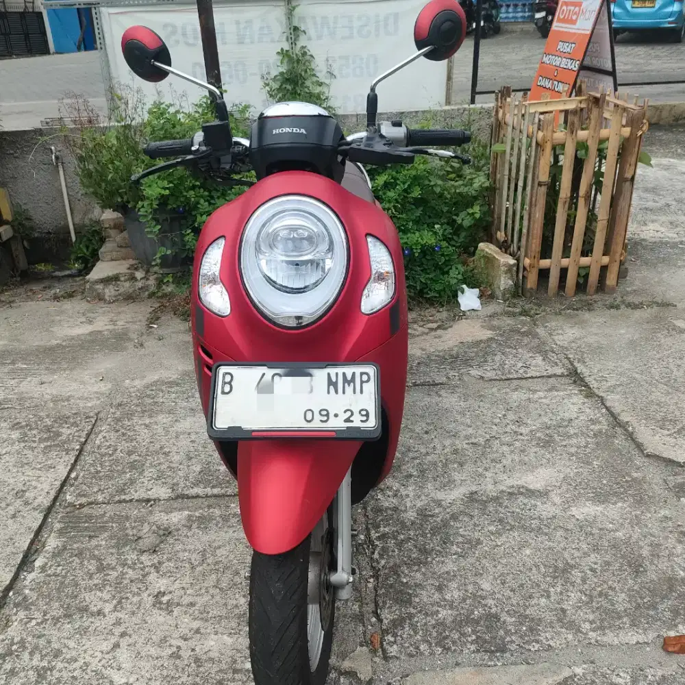 Honda Scoopy 2024