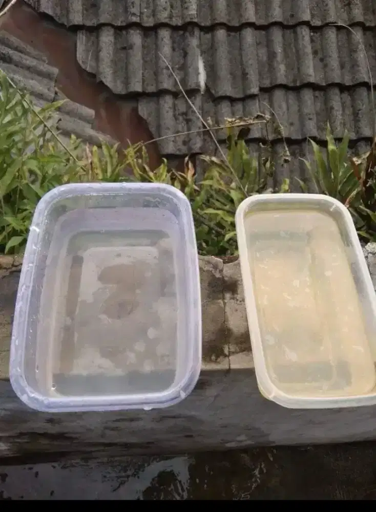 Jernih dan layak pakai