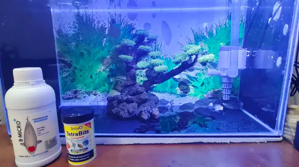Aquarium Ikan Fullset