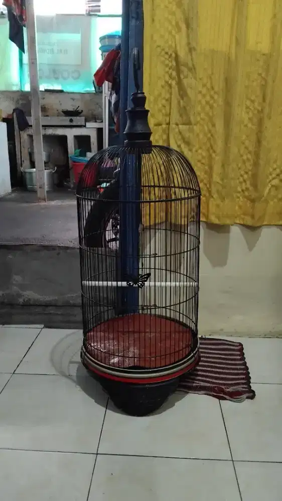 Kandang burung lakbet