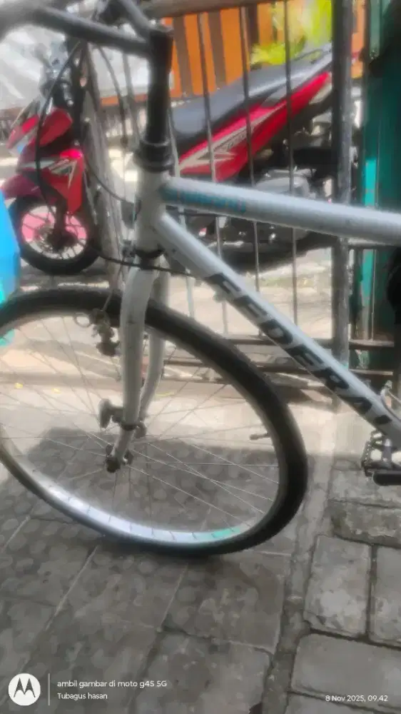 Sepeda Federal Mount Everest '26