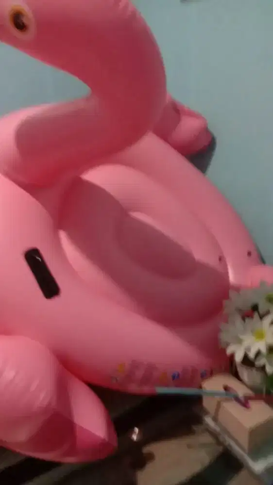 BAN RENANG FLAMINGGO