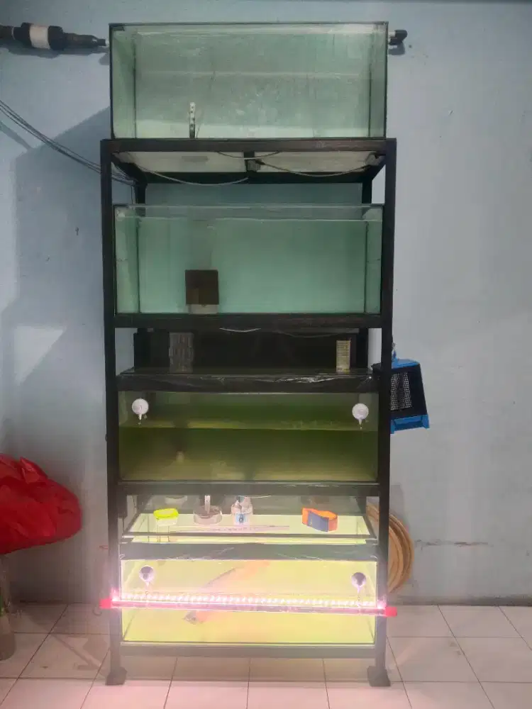 Aquarium 100×50×40, rak, dll