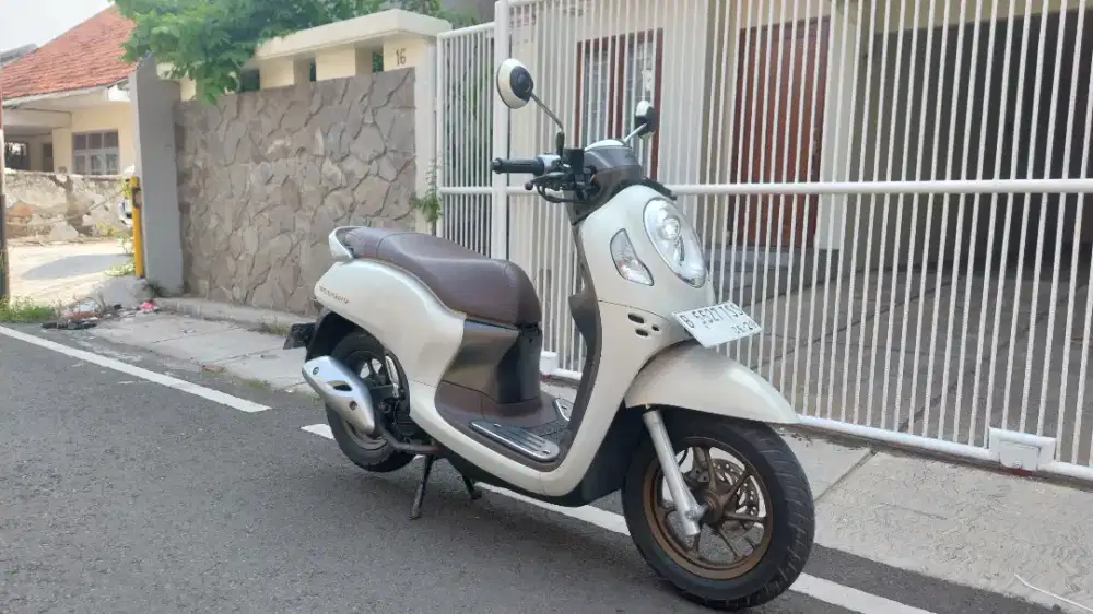 HONDA SCOOPY PRESTIGE 2024 GRESS