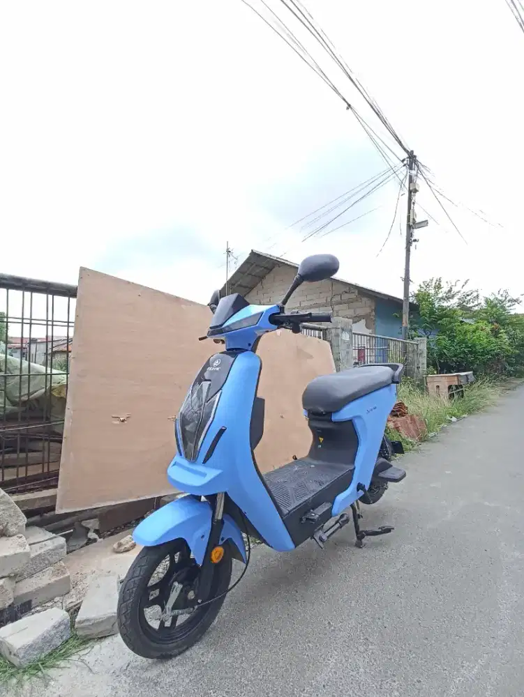 Sepeda listrik exotic  x-670