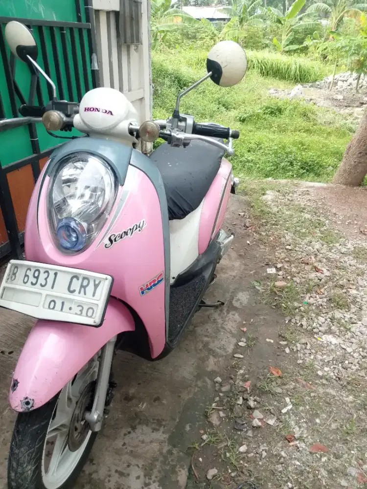 Scoopy karbu pajak hidup
