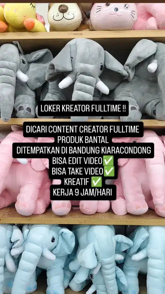 KREATOR DAN HOST LIVE FULLTIME