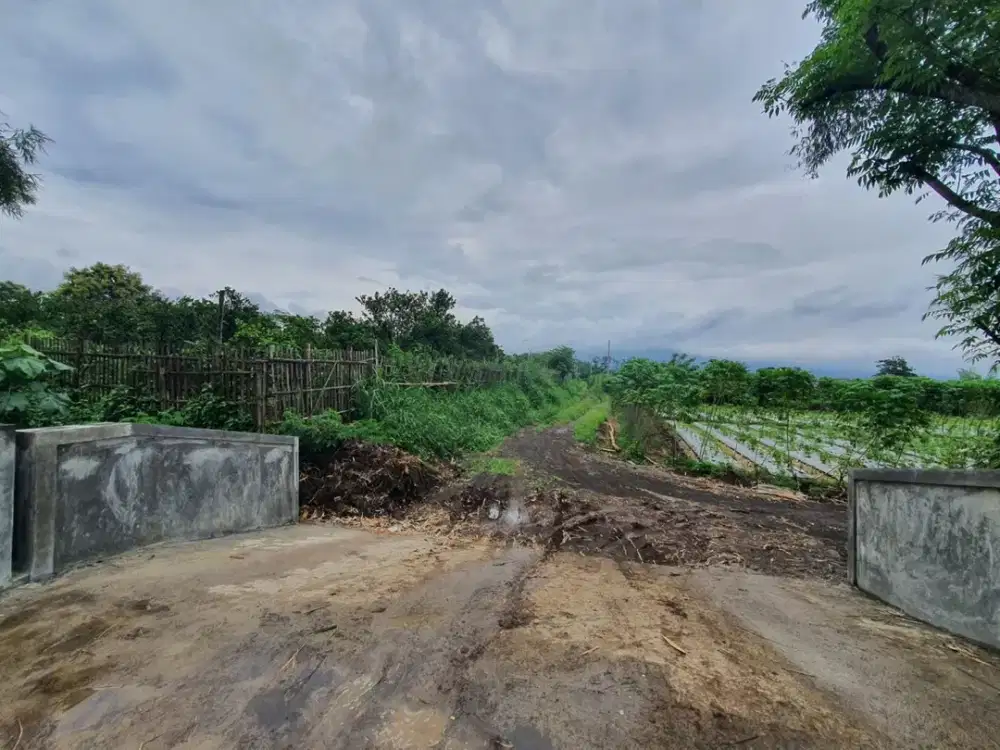 Kavling  Landungsari – Dekat Kampus & Harga Terjangkau mulai 187 Jutaan!