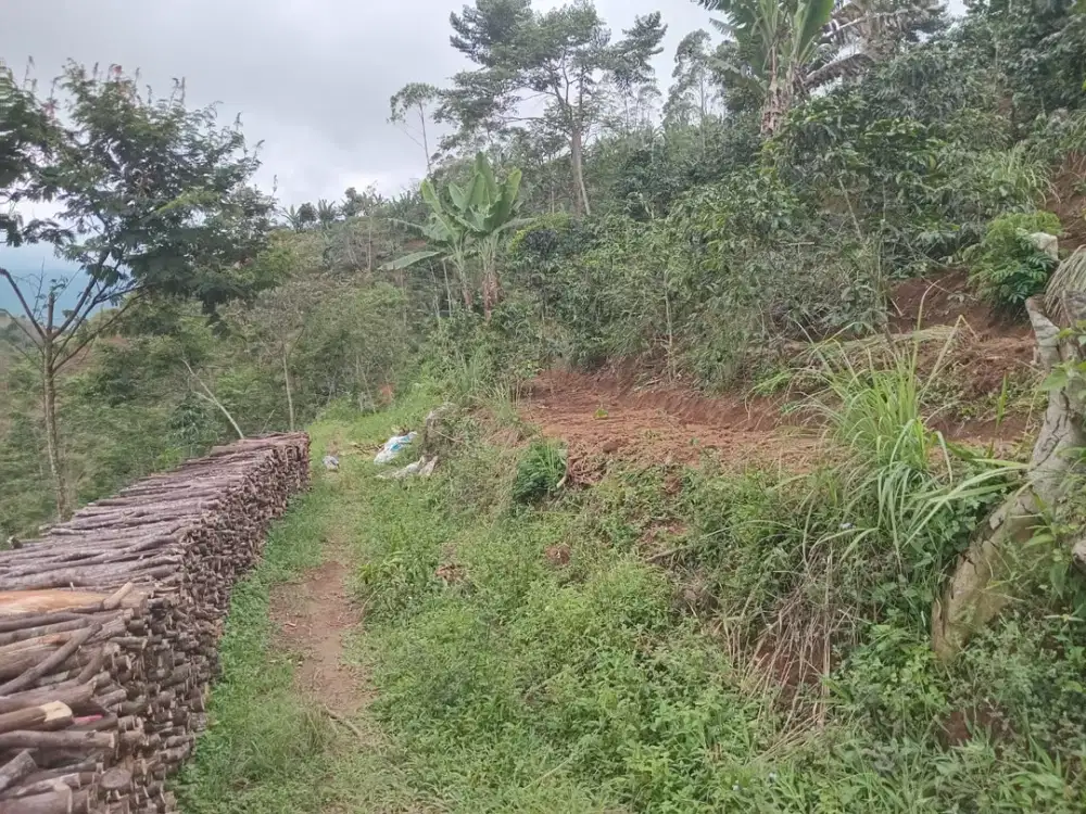 TANAH DAERAH CUKUL PANGALENGAN