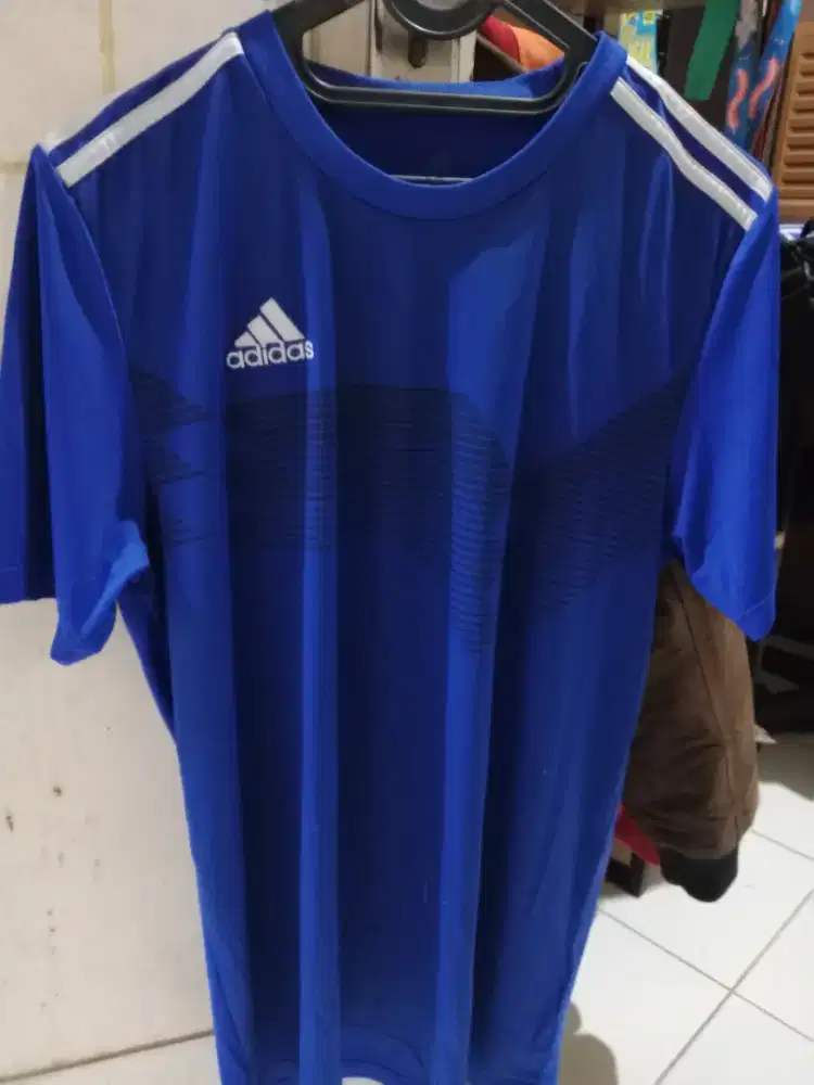 Jersey Adidas Campeon 19 Original
