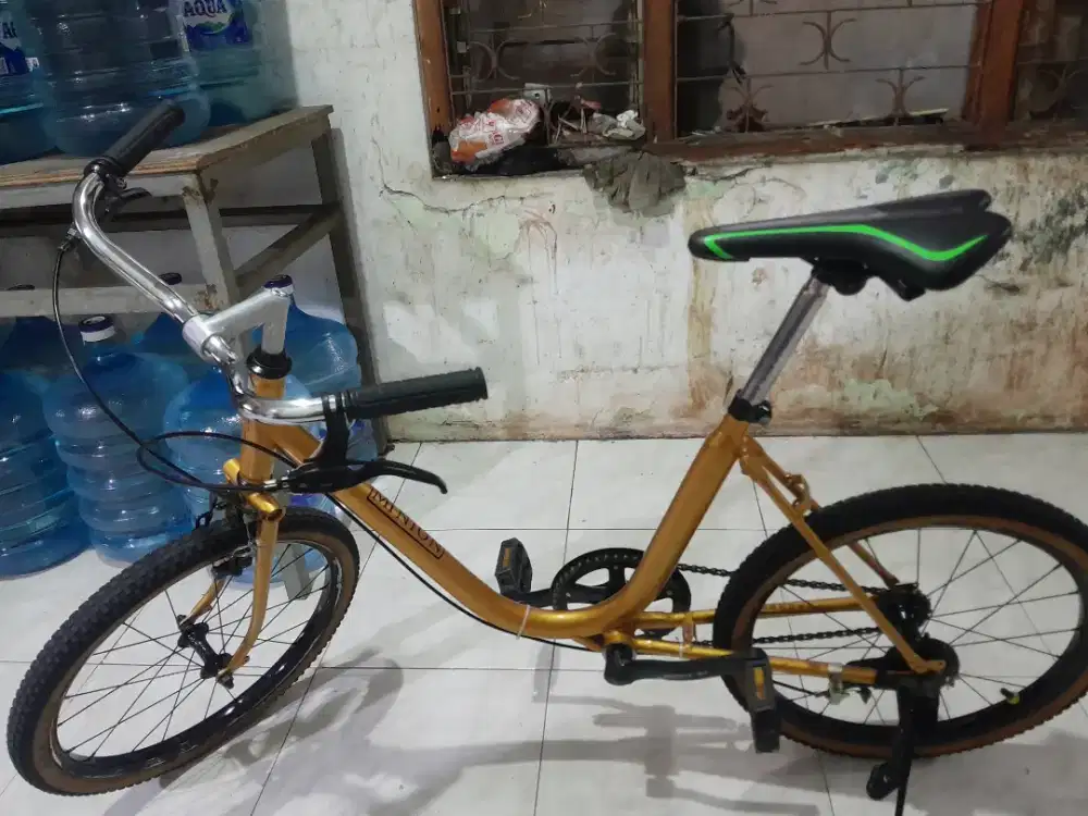 Sepeda minion uk 20