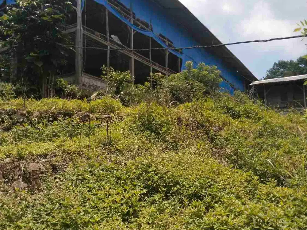 jual tanah dn bangunan