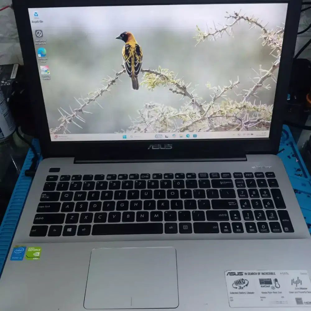 Bu jual Asus A555L i5Gen5 8gb / 512gb