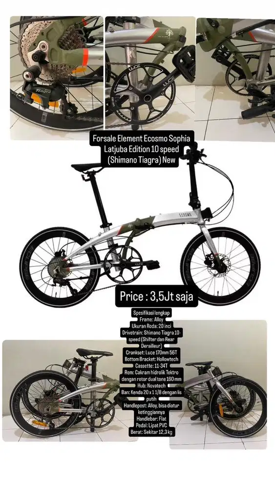 Element ecosmo sophia latjuba edition 10 speed shimano tiagra