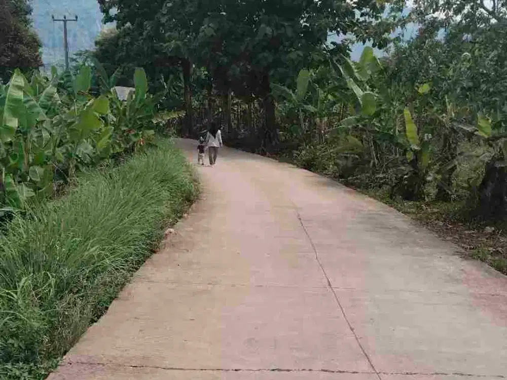 jual tanah murah pinggir jln kabupaten