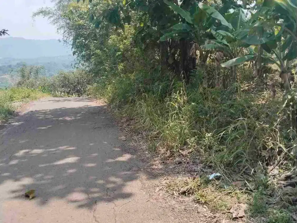 jual tanah murah SHM LT 3h pinggir jln kabupaten