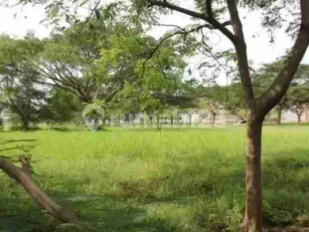 Kavling medit resort pantai indah kapuk view danau