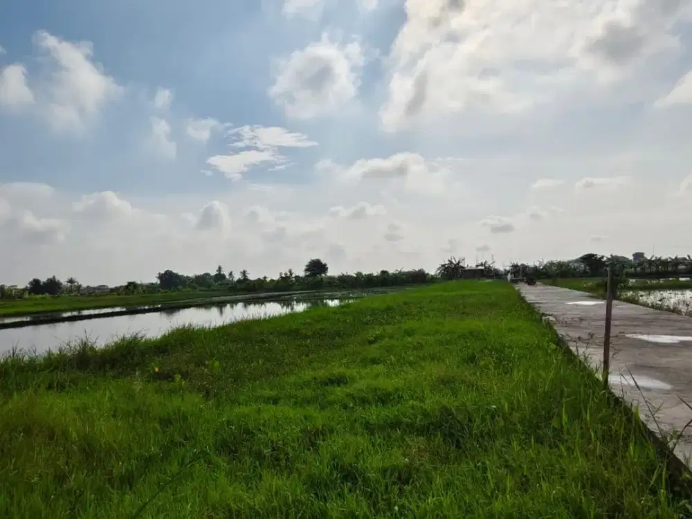 Pink Zone Land Close to Seseh Beach, 29 Year Leasehold Bali