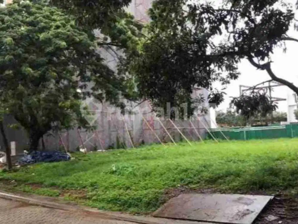 Kavling ebony golf pik khusus Para sultan