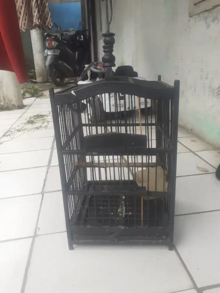 Jual kandang burung tipe pleci cocok buat kolibri