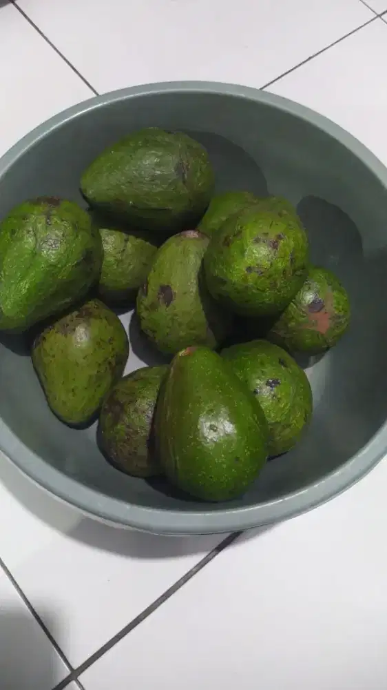 Alpukat Mentega dan Cabai Gendot, Kentang