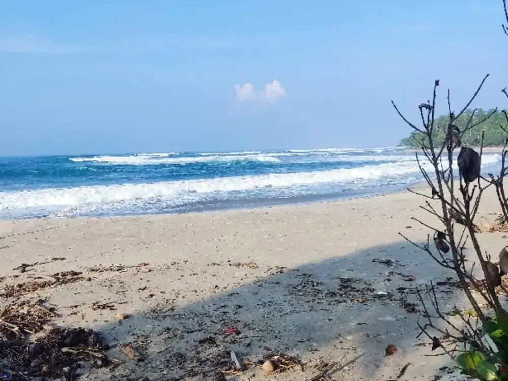 tanah 7600 meter dipinggir pantai krui pesisir barat