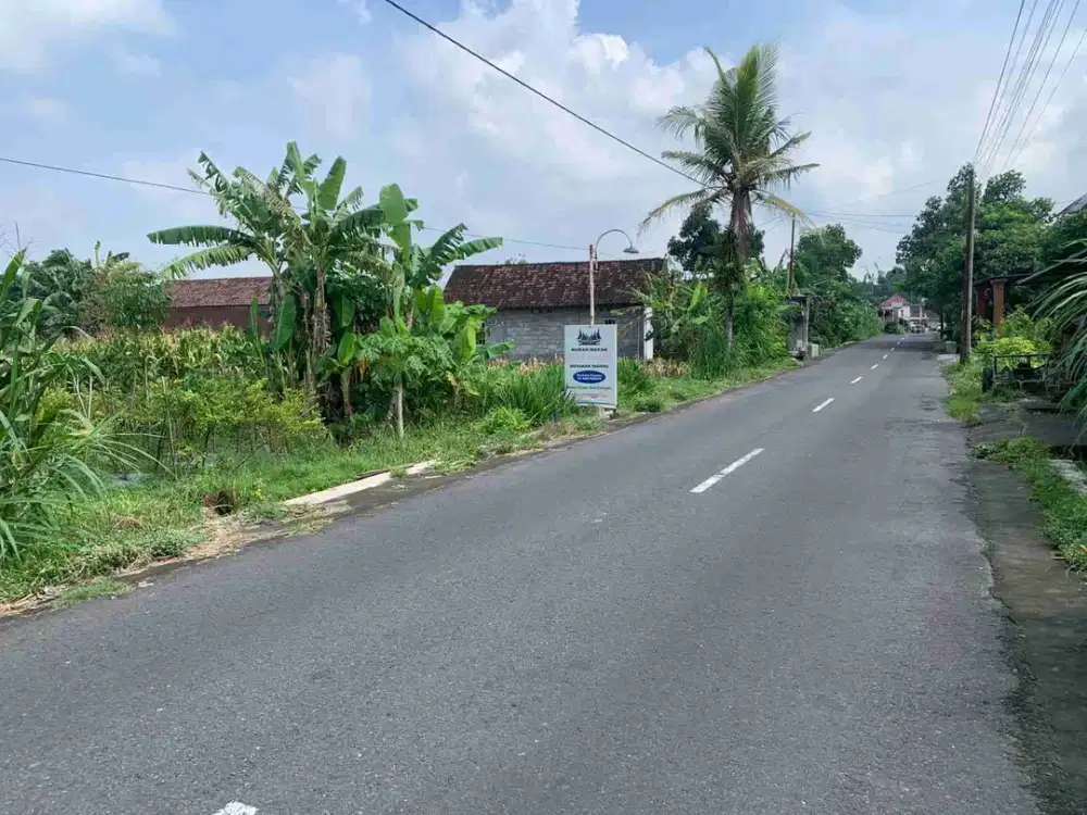 sawah caturharjo slmn