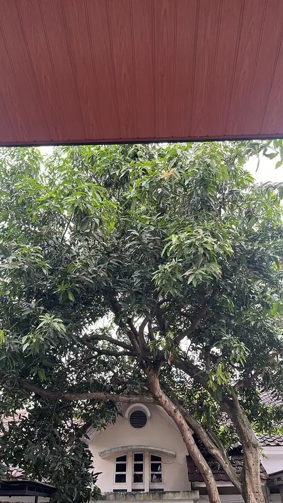 Lowongan art segera WANITA