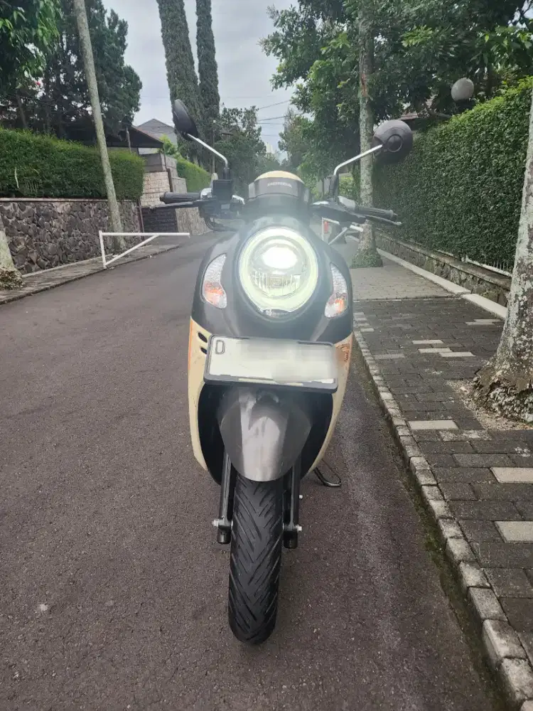 Honda Scoopy 2024