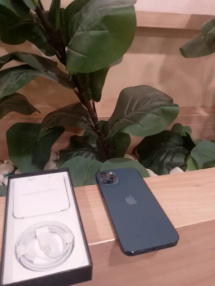 Iphone 11 pro 256gb sudah baru mura