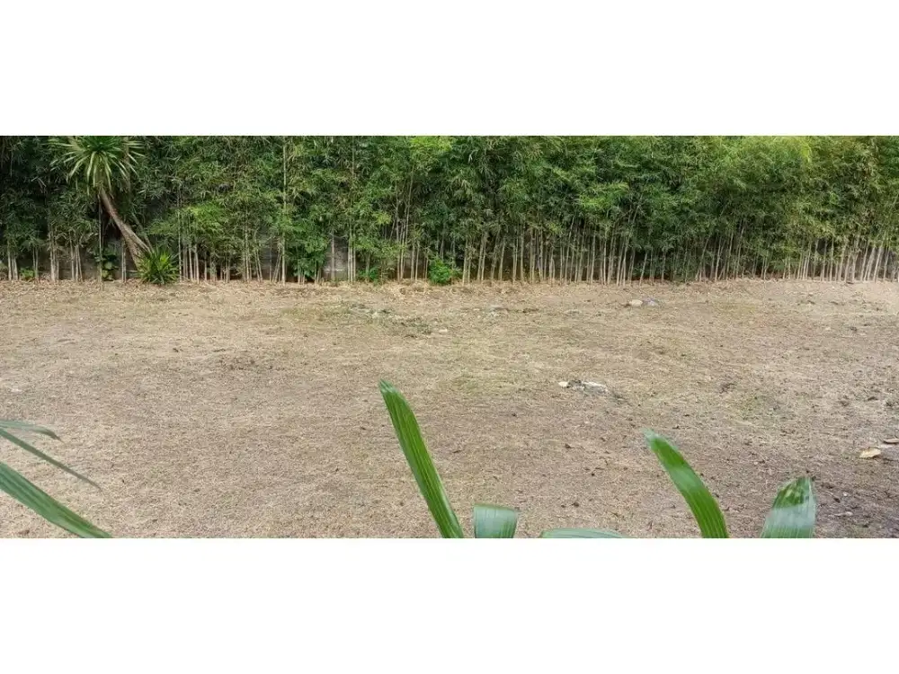 Dijual tanah Luas 3 are (1.5are + 1.5are) Jl Cenderawasih Petitenget - VSZA