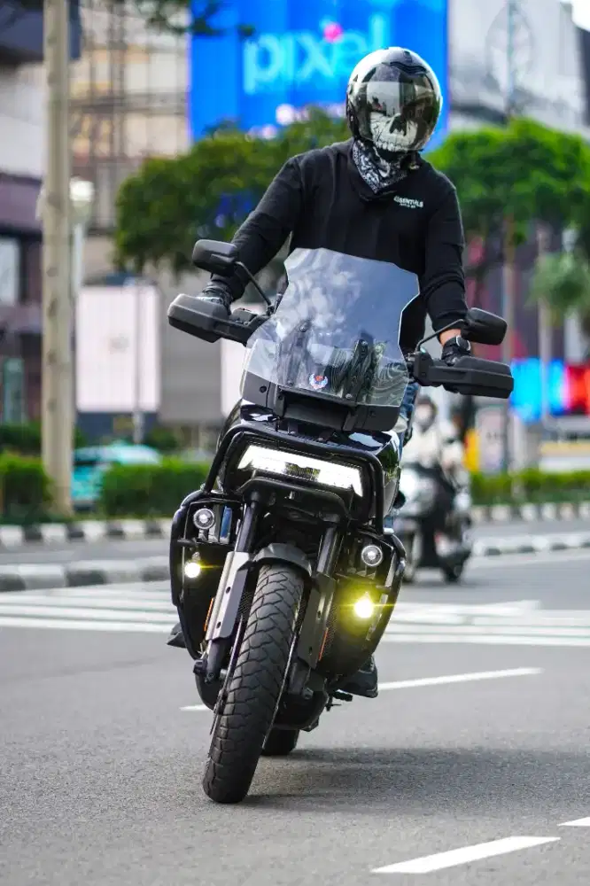 Harley Davidson Pan America! Rare Item!