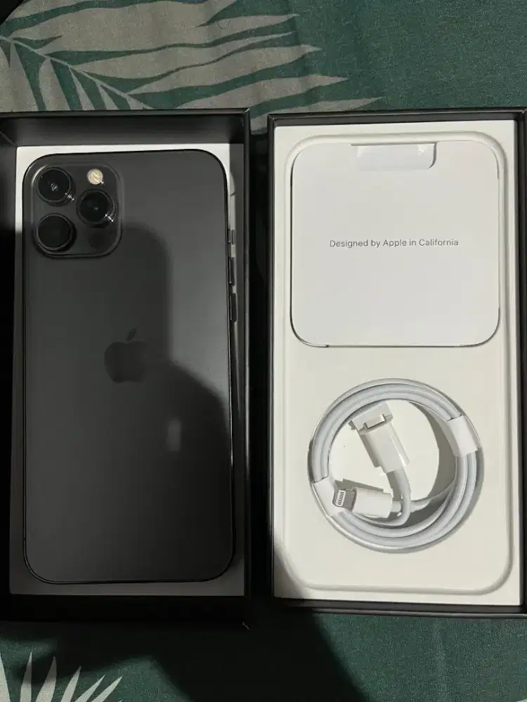 IPHONE 12 PROMAX 256 GB BEACUKAI