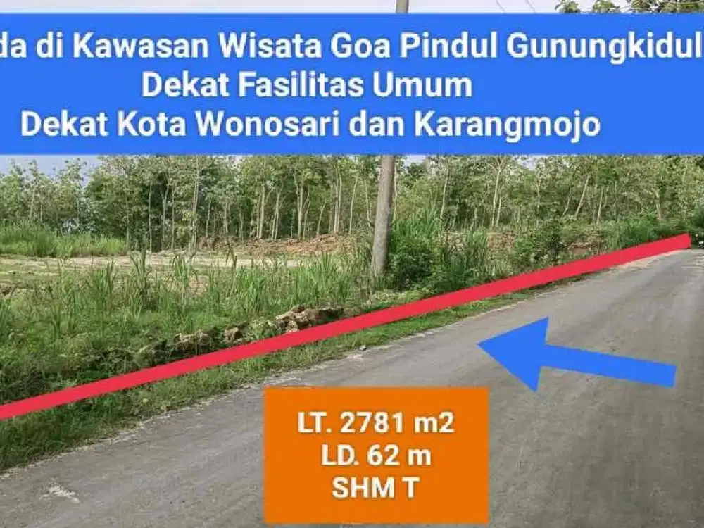 jual tanah pinggir jalan raya murah strategis di Wisata Goa Pindul Gunung kidul luas 2781 m2 harga 145 rb permeter