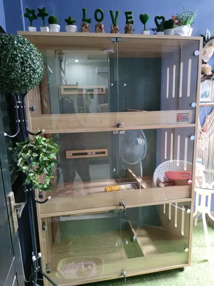 Kandang kucing bisa untuk menyusui dan melahirkan