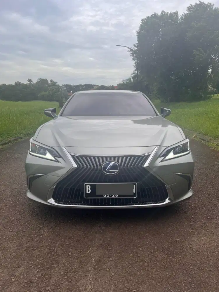 2020 Lexus ES300h Ultra Luxury