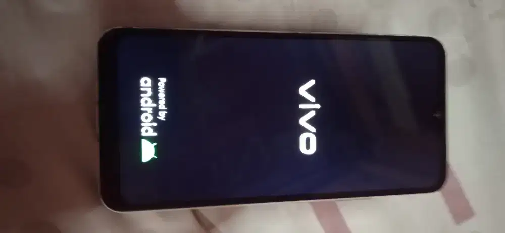 Vivo y17 second
