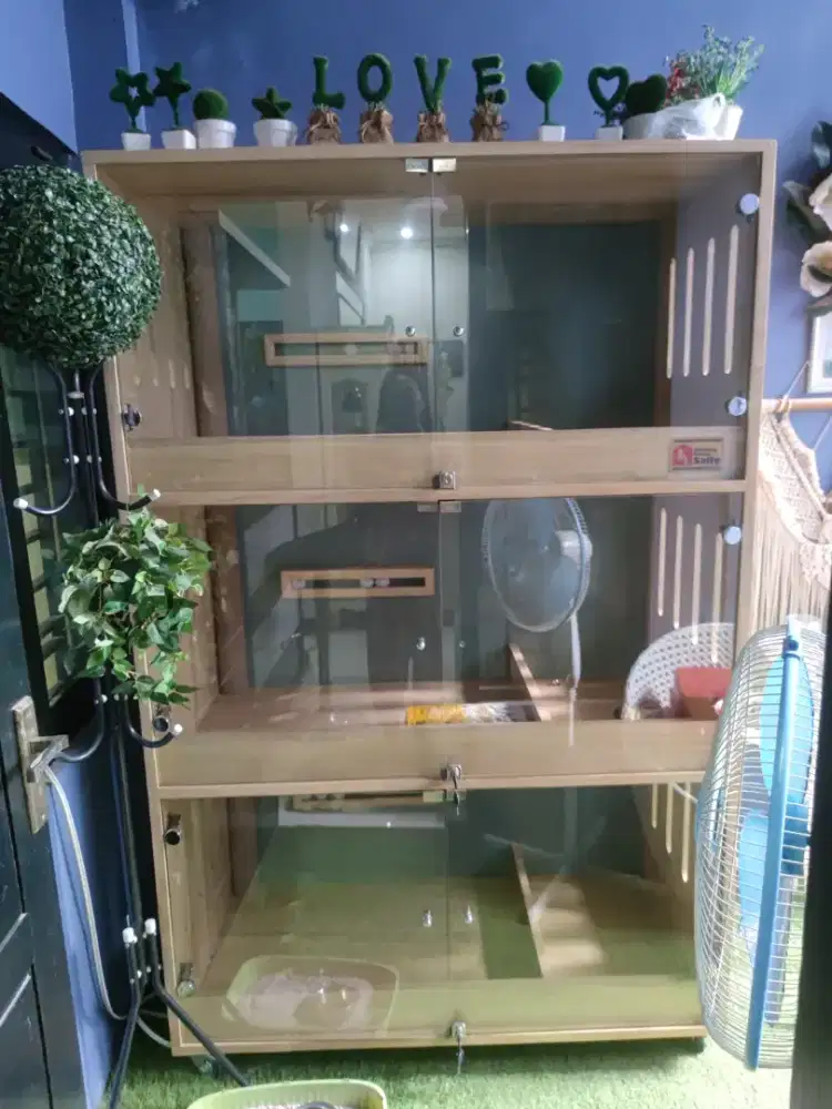 Kandang kucing bisa untuk melahirkan dan menyusui