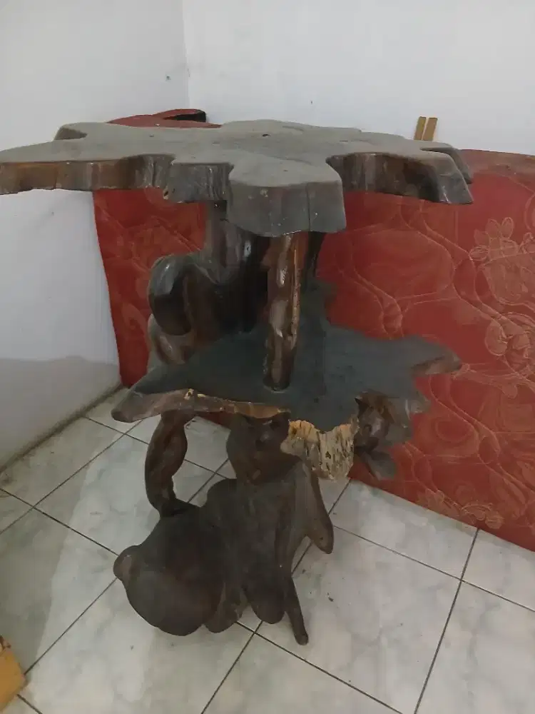 Dijual Borongan 2 akar jati