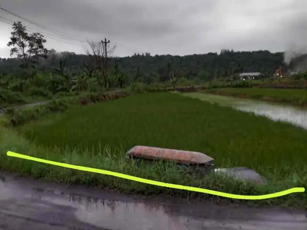Sawah Murah Hook 2 muka di Sendangsari Sleman