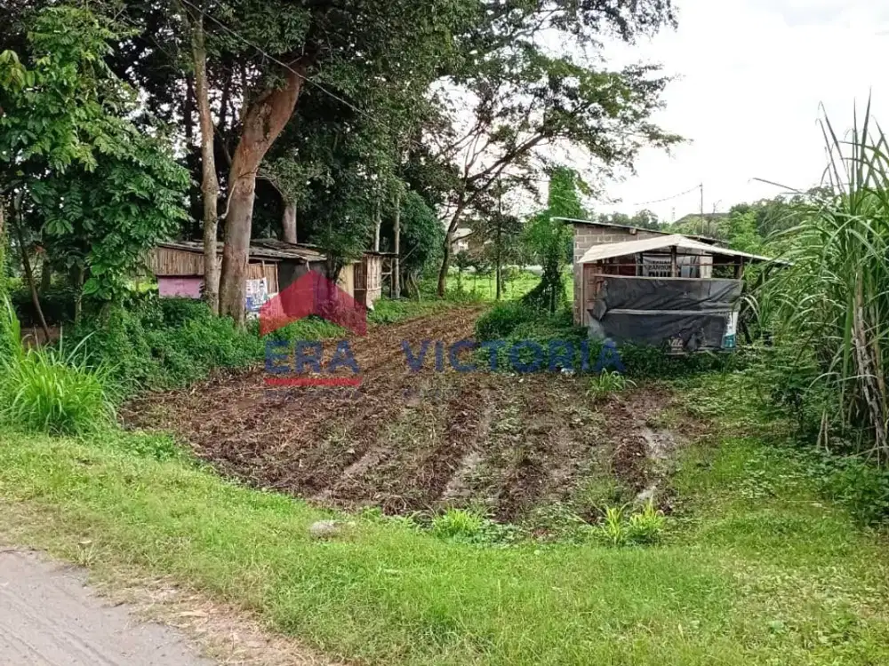 Tanah sawah dijual dekat wisata Sumber Toto Kerkep Gurah