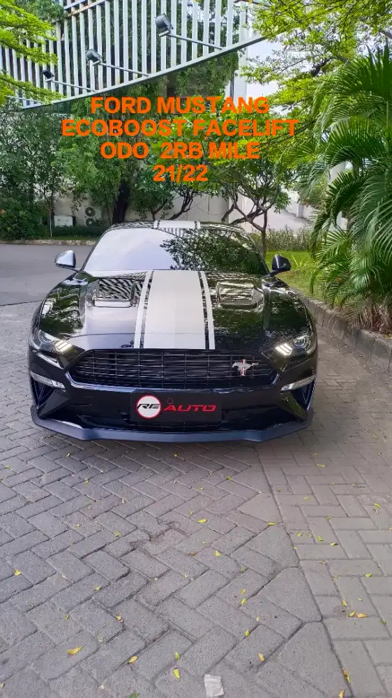 FORD MUSTANG 2.3 FASCELIFT PERFORMANCE