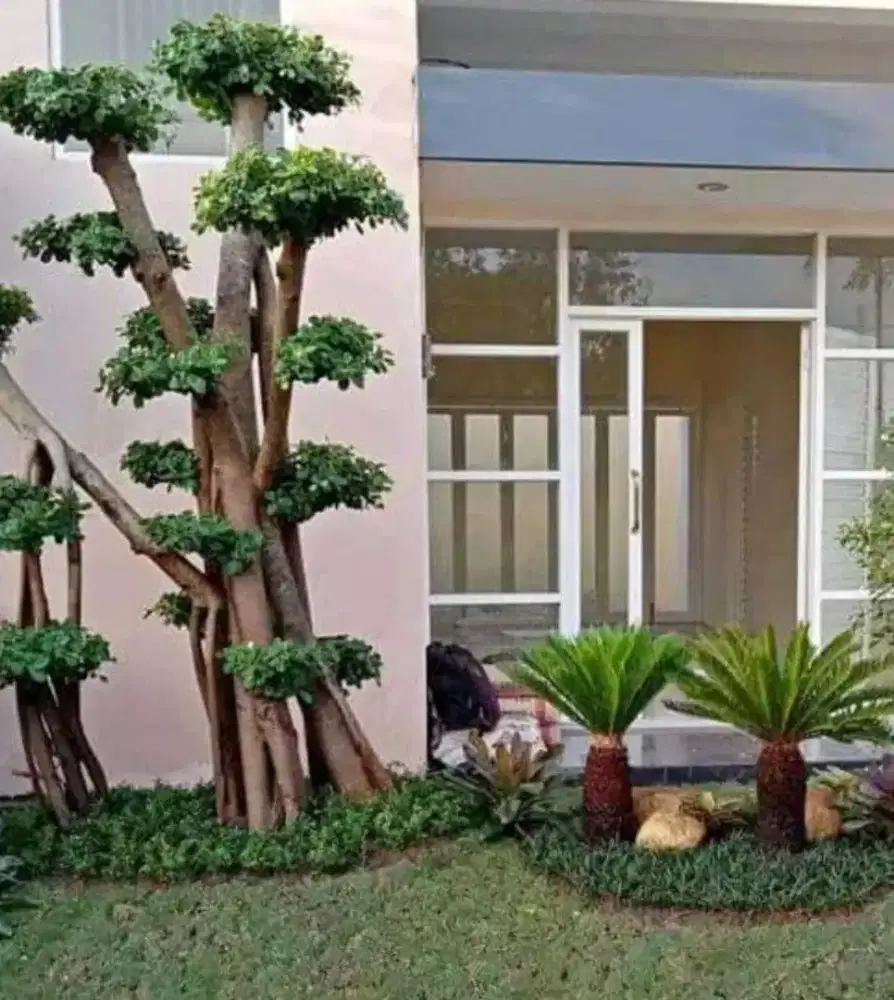 Jasa taman bojonggede tukang taman