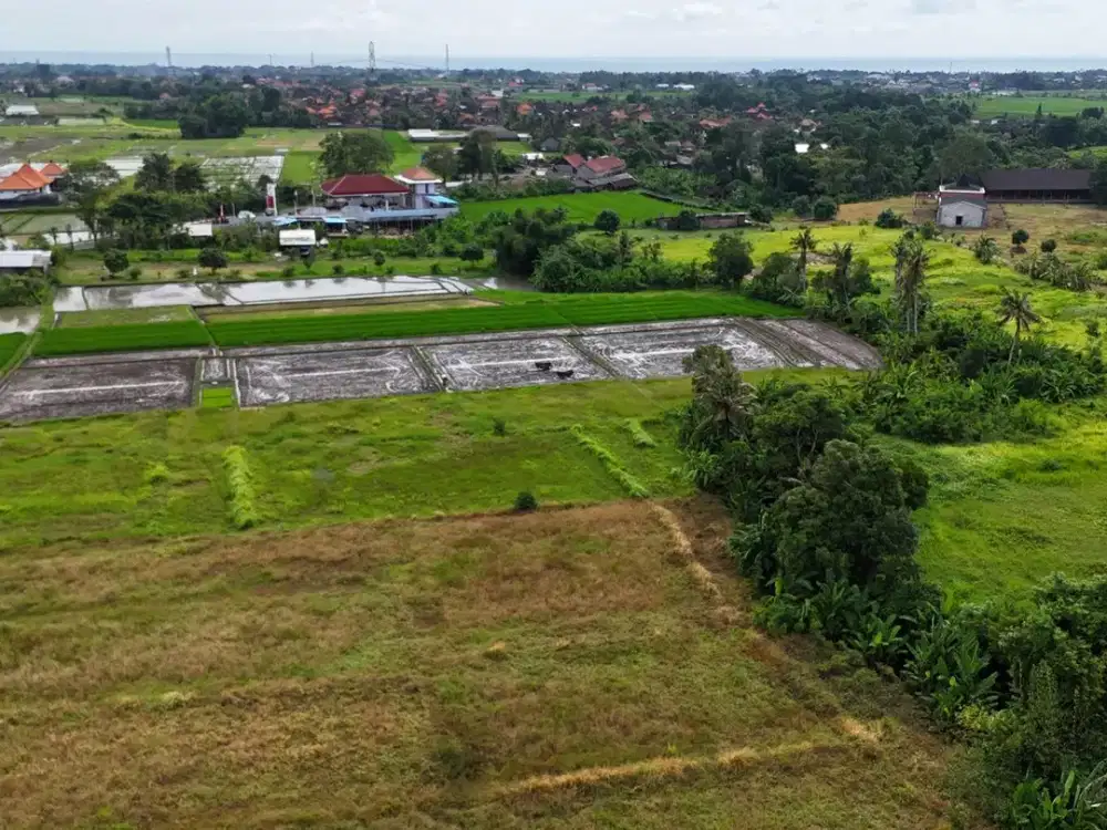 Dijual Tanah Los Sungai, View Sawah di area Tanah Lot Tabanan