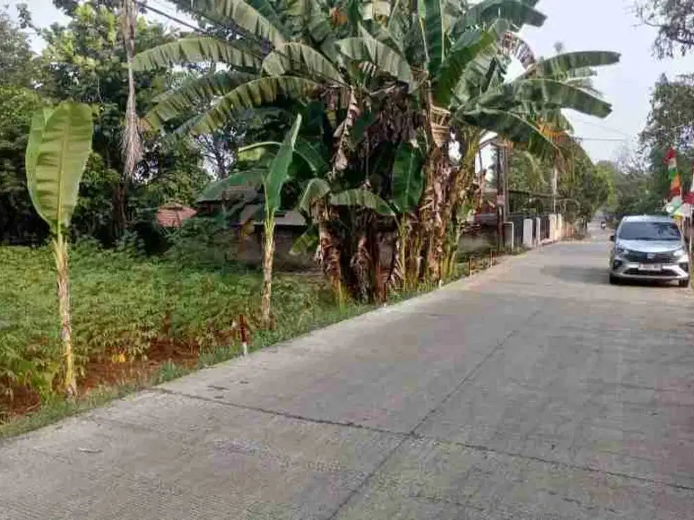 Dijual Tanah Strategis Di Kalisuren Tajur halang Bogor