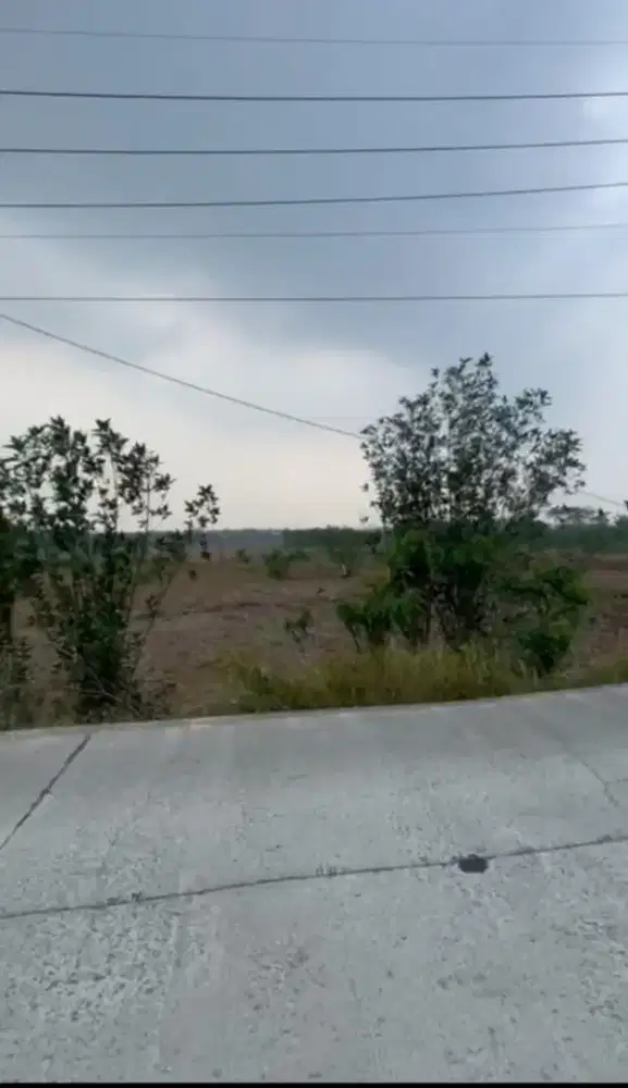 DIJUAL TANAH DIBAWAH HARGA PASAR DI CIKARANG DEKAT DELTA MAS