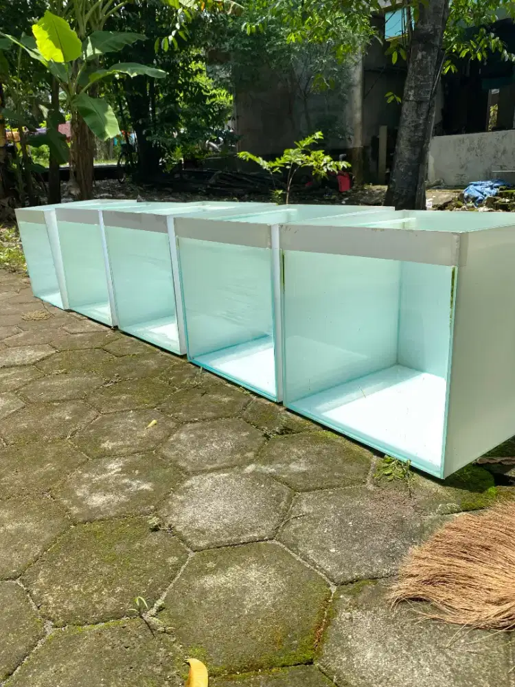 Akuarium 80x40x40 dan 40x40x40