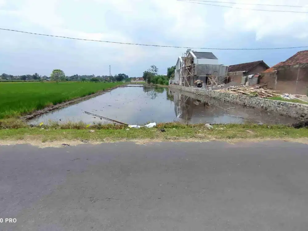SAWAH TEPI JALAN ASPAL DEKAT JALAN RAYA GODEAN KM 7,5 YOGYAKARTA
