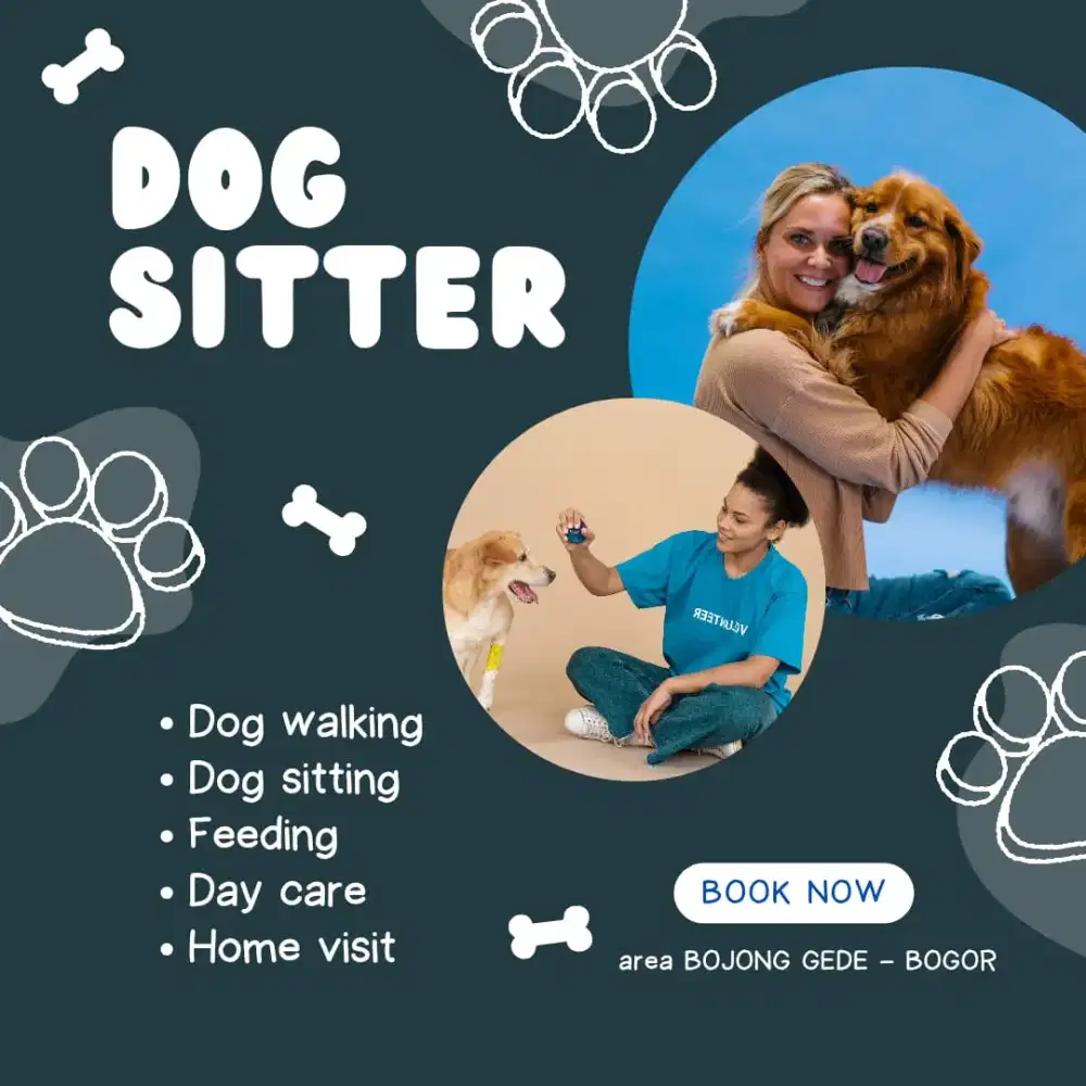 Sedia Dog Sitter/Walker